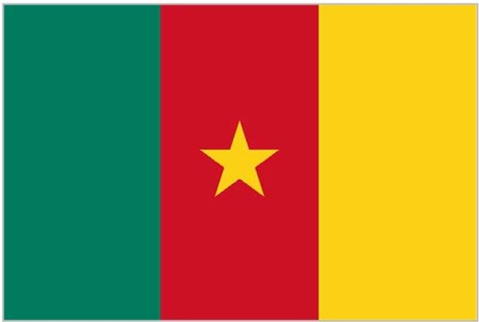 Иллюстрация к книге — Флаги мира. Большая иллюстрированная энциклопедия [i_123.jpg]