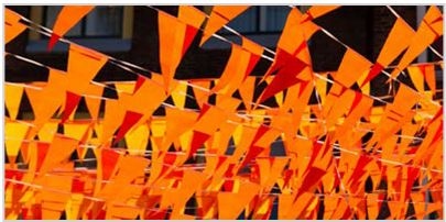 Иллюстрация к книге — Флаги мира. Большая иллюстрированная энциклопедия [i_187.jpg]