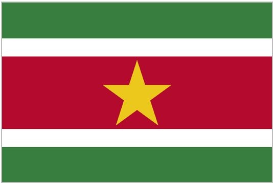 Иллюстрация к книге — Флаги мира. Большая иллюстрированная энциклопедия [i_243.jpg]