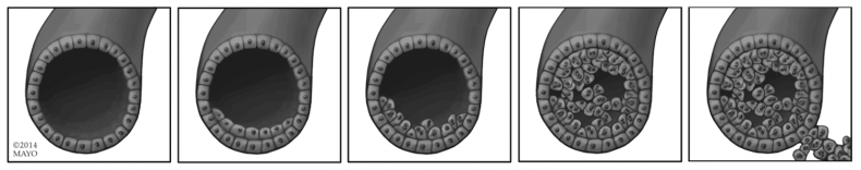 Иллюстрация к книге — Грудь. Руководство пользователя [i_018.jpg]