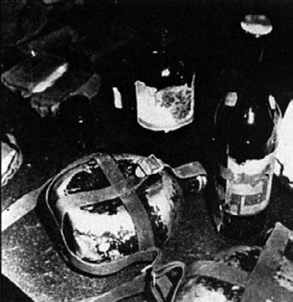 Иллюстрация к книге — Хроники Даманского [i_039.jpg]