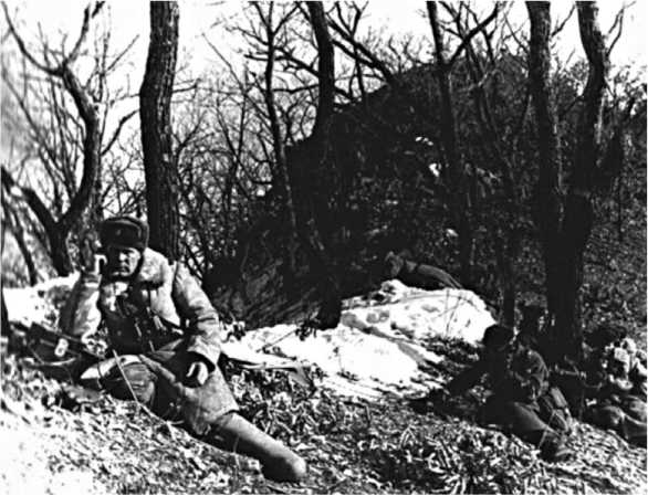 Иллюстрация к книге — Хроники Даманского [i_055.jpg]