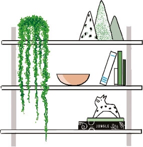 Иллюстрация к книге — Мой блокнот. Сила растений [i_015.jpg]