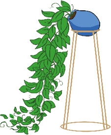 Иллюстрация к книге — Мой блокнот. Сила растений [i_017.jpg]