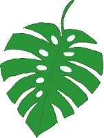 Иллюстрация к книге — Мой блокнот. Сила растений [i_030.jpg]