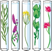 Иллюстрация к книге — Мой блокнот. Сила растений [i_038.jpg]