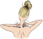 Иллюстрация к книге — Мой блокнот. Сила растений [i_060.jpg]