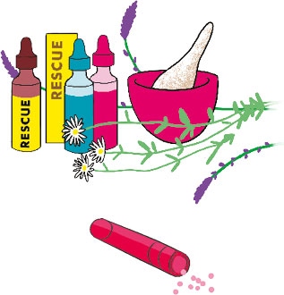 Иллюстрация к книге — Мой блокнот. Сила растений [i_082.jpg]