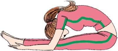 Иллюстрация к книге — Мой блокнот. Сила растений [i_127.jpg]