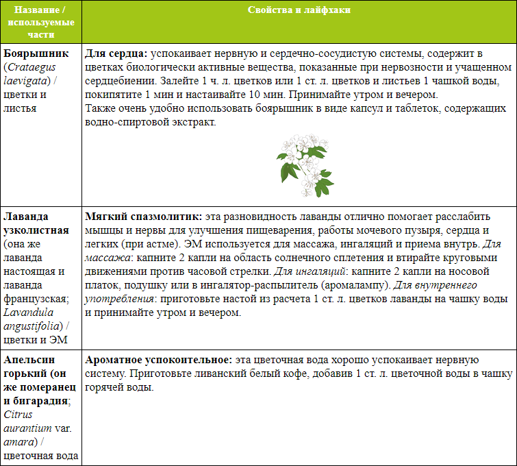Иллюстрация к книге — Мой блокнот. Сила растений [i_151.jpg]
