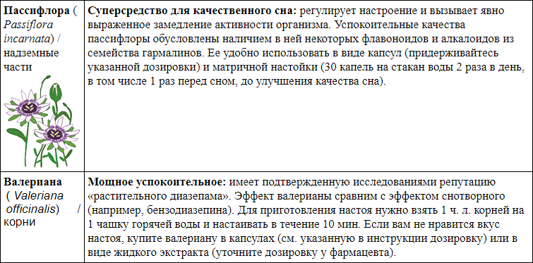 Иллюстрация к книге — Мой блокнот. Сила растений [i_152.jpg]