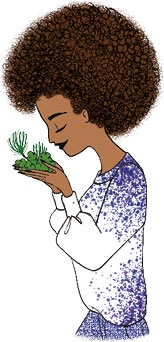 Иллюстрация к книге — Мой блокнот. Сила растений [i_155.jpg]