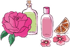 Иллюстрация к книге — Мой блокнот. Сила растений [i_159.jpg]