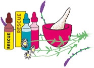 Иллюстрация к книге — Мой блокнот. Сила растений [i_161.jpg]