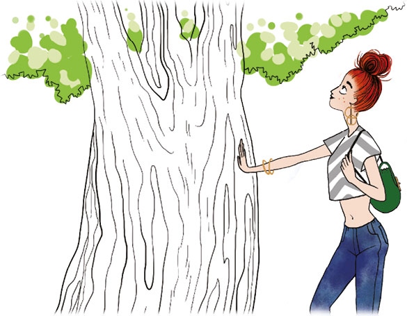 Иллюстрация к книге — Мой блокнот. Сила растений [i_169.jpg]