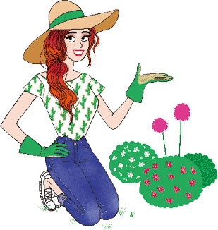 Иллюстрация к книге — Мой блокнот. Сила растений [i_188.jpg]