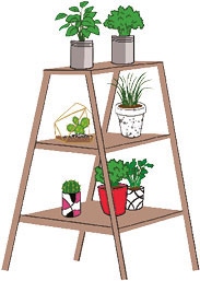 Иллюстрация к книге — Мой блокнот. Сила растений [i_192.jpg]