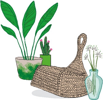 Иллюстрация к книге — Мой блокнот. Сила растений [i_212.jpg]