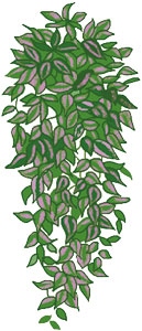 Иллюстрация к книге — Мой блокнот. Сила растений [i_223.jpg]