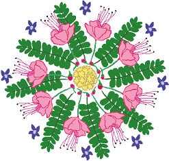 Иллюстрация к книге — Мой блокнот. Сила растений [i_235.jpg]