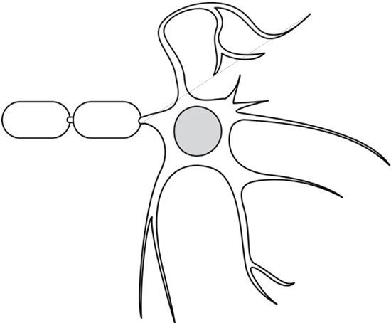 Иллюстрация к книге — Железный аргумент. Вся правда об анемии. [img_13.jpg]