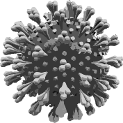 Иллюстрация к книге — COVID-19: 33 вопроса и ответа о коронавирусе [i_002.jpg]