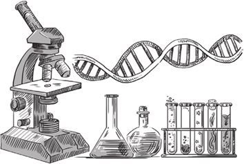 Иллюстрация к книге — Беременность, роды, первые годы жизни ребенка. В помощь будущей маме [i_004.jpg]