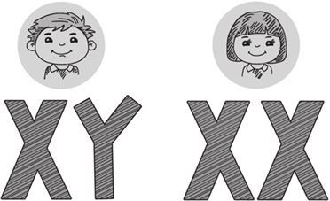 Иллюстрация к книге — Беременность, роды, первые годы жизни ребенка. В помощь будущей маме [i_005.jpg]