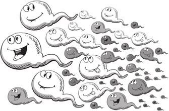 Иллюстрация к книге — Беременность, роды, первые годы жизни ребенка. В помощь будущей маме [i_011.jpg]