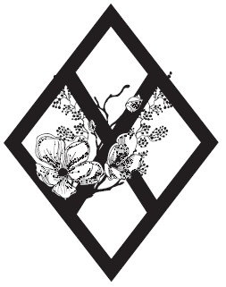 Иллюстрация к книге — Город под охраной дракона. Том 2 [i_001.jpg]