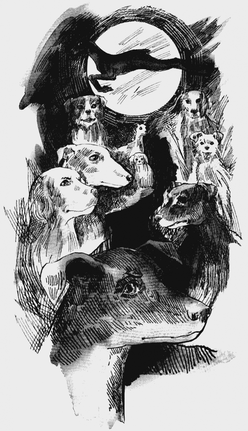 Иллюстрация к книге — Скрытая угроза [i_001.jpg]