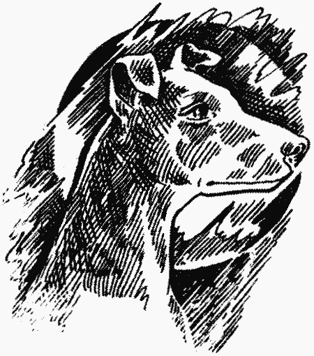 Иллюстрация к книге — Скрытая угроза [i_002.jpg]