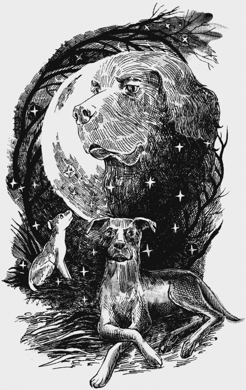 Иллюстрация к книге — Скрытая угроза [i_005.jpg]