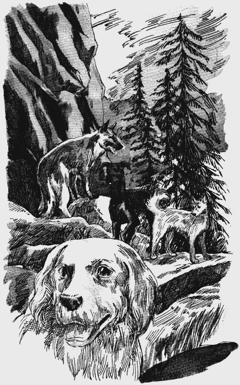 Иллюстрация к книге — Скрытая угроза [i_006.jpg]