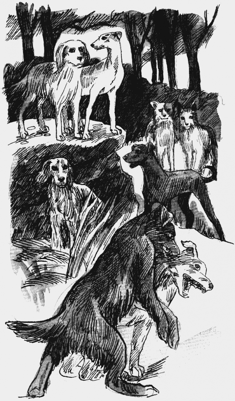 Иллюстрация к книге — Скрытая угроза [i_007.jpg]