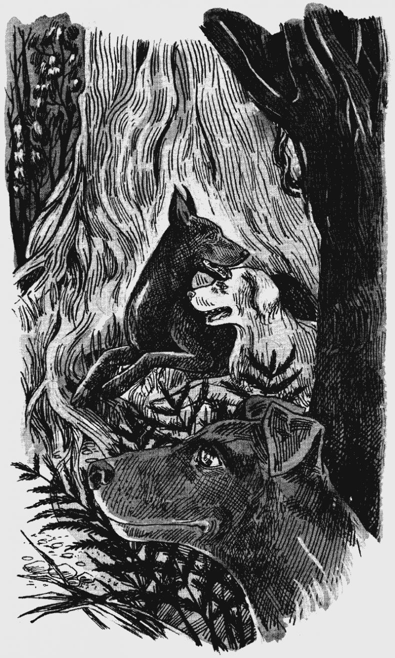 Иллюстрация к книге — Скрытая угроза [i_008.jpg]