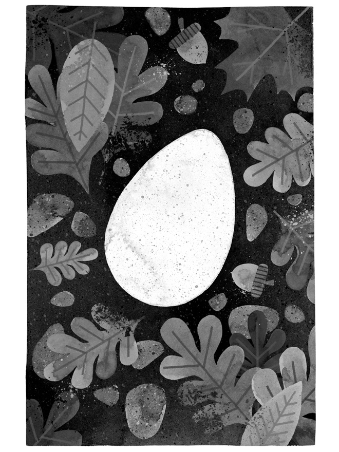 Иллюстрация к книге — Дикий Робот [i_018.jpg]