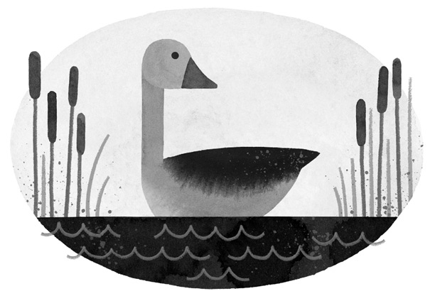 Иллюстрация к книге — Дикий Робот [i_021.jpg]