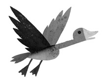 Иллюстрация к книге — Дикий Робот [i_031.jpg]