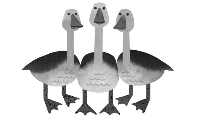 Иллюстрация к книге — Дикий Робот [i_043.jpg]