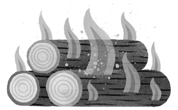 Иллюстрация к книге — Дикий Робот [i_048.jpg]