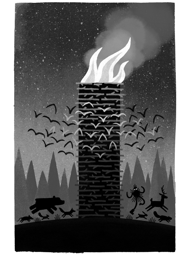 Иллюстрация к книге — Дикий Робот [i_056.jpg]