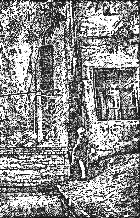 Иллюстрация к книге — Насквозь [i_003.jpg]