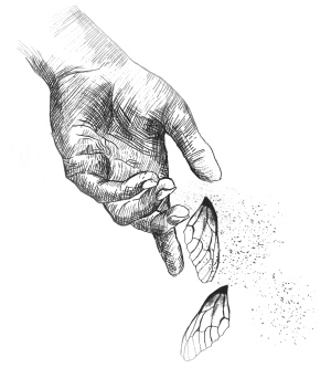 Иллюстрация к книге — Симон [i_015.jpg]