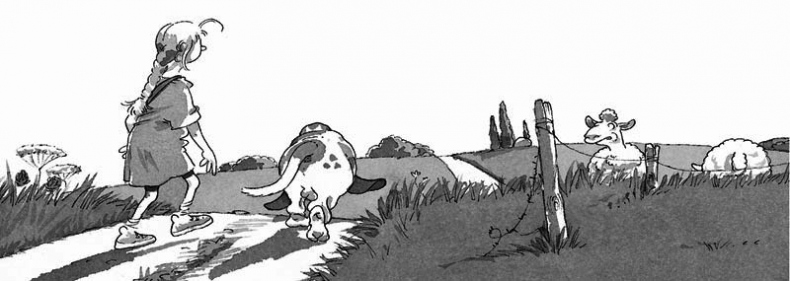 Иллюстрация к книге — Встреча с оборотнями [i_008.jpg]