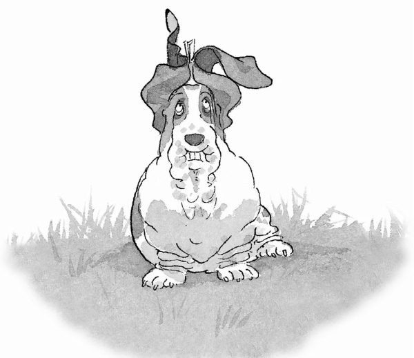 Иллюстрация к книге — Встреча с оборотнями [i_026.jpg]