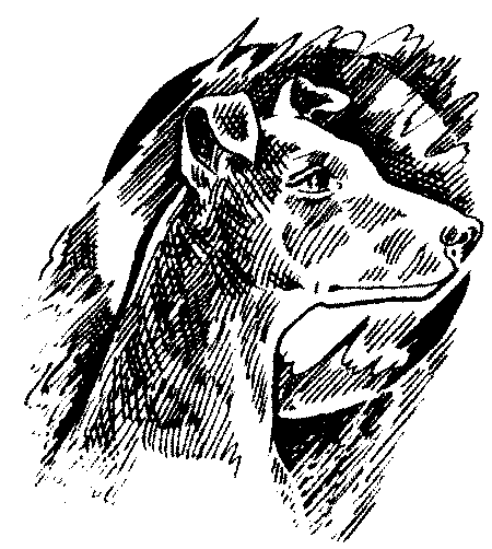 Иллюстрация к книге — Долгая ночь [i_002.jpg]