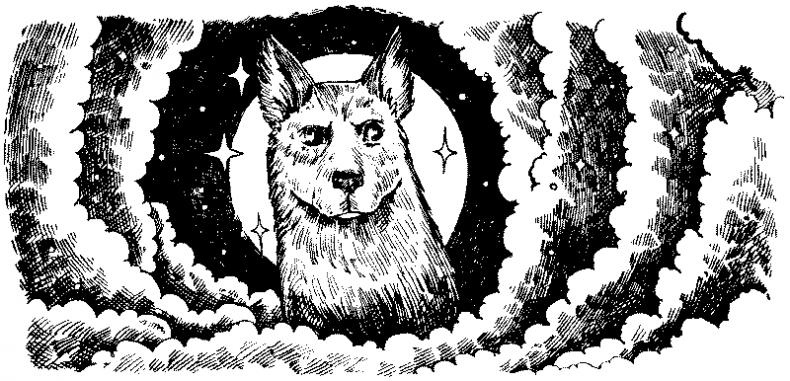 Иллюстрация к книге — Долгая ночь [i_005.jpg]