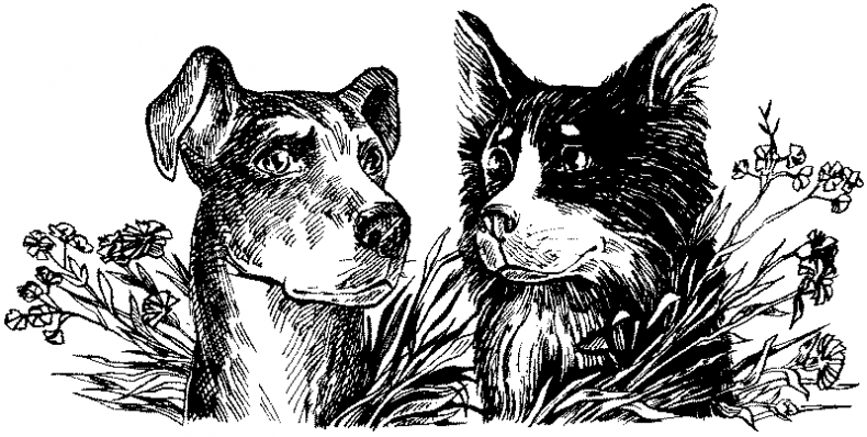 Иллюстрация к книге — Долгая ночь [i_006.jpg]