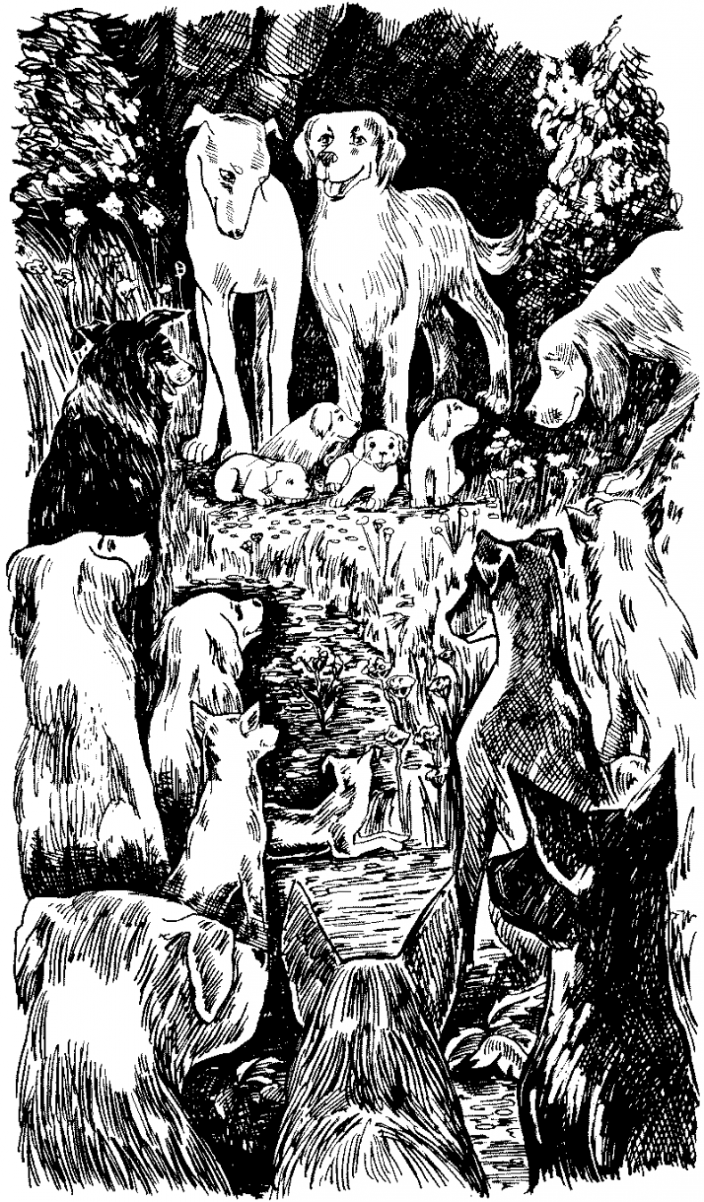 Иллюстрация к книге — Долгая ночь [i_011.jpg]